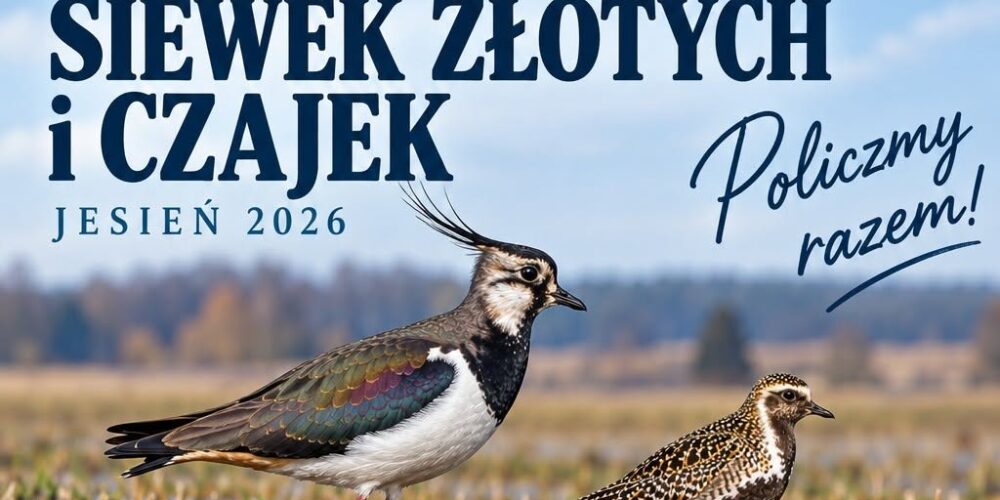 V. OGÓLNOEUROPEJSKIE LICZENIE SIEWEK ZŁOTYCH I CZAJEK