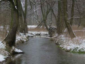 Dolina Prądnika (fot. Jakub Dyduła)