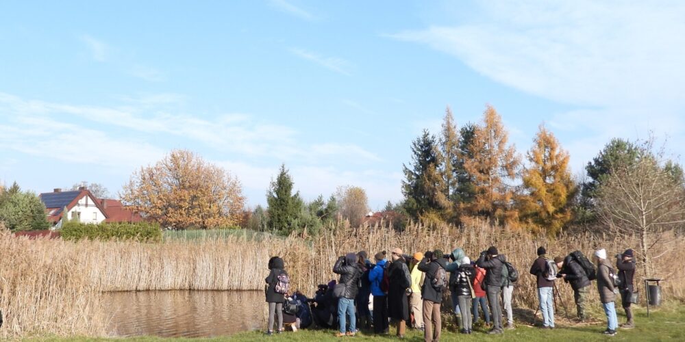 Nowy program spacerów ornitologicznych na sezon jesienno-zimowy 2025/2026!