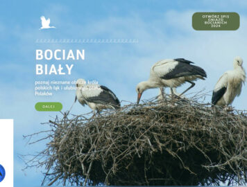Baza Bocianie Gniazda – nowe funkcje