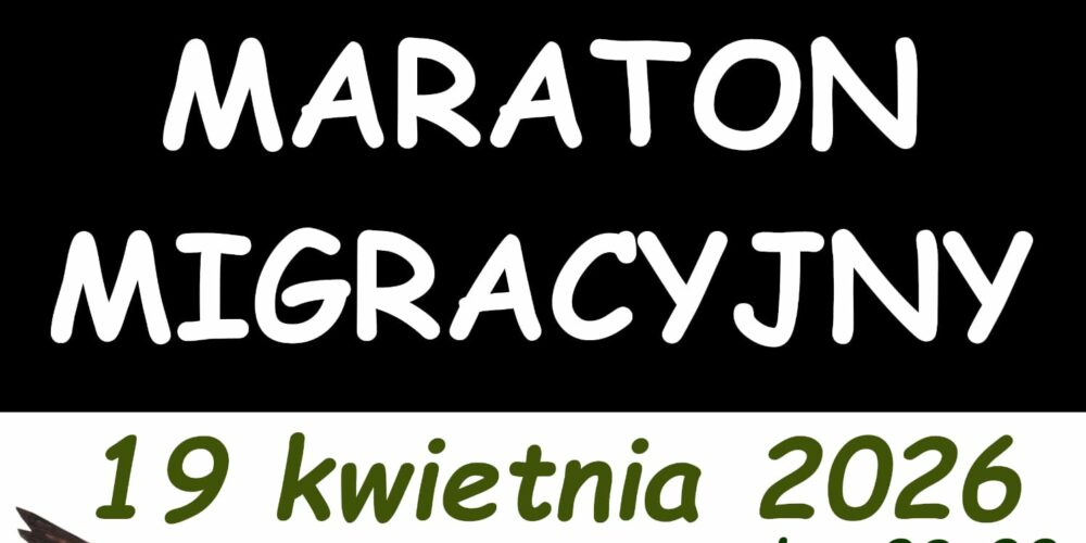 Maraton Migracyjny w Witowie – 19 kwietnia 2026
