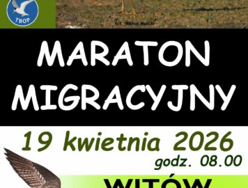 Maraton Migracyjny w Witowie – 19 kwietnia 2026